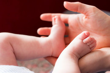 newborn baby feet in mother handy