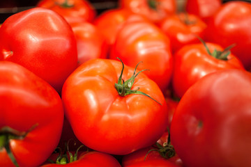 fresh ripe tomatoes background