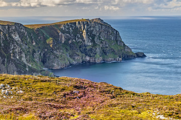 View over the Cliffs of Horn Head in County Donegal in Ireland