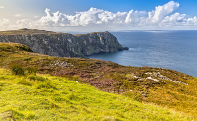 Fototapeta na wymiar View over the Cliffs of Horn Head in County Donegal in Ireland