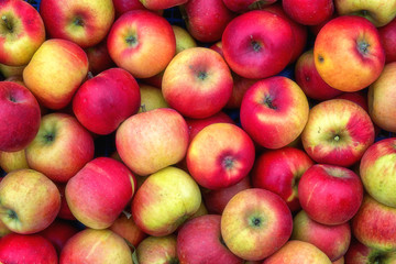 Ripe fresh apple red fruits in nature, seasonal healthy and vitamin food, natural background