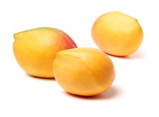 Mango on white background