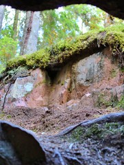 the mysterious view into nature