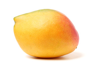 Mango on white background
