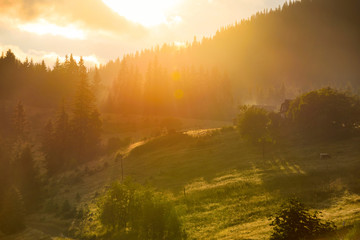 Beautiful mountain landscape with sunbeams. Summer evening in the Carpathians