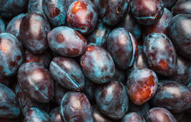Fresh ripe plums on the rustic background. Selective focus. Shallow depth of field.