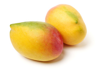 Mango on white background