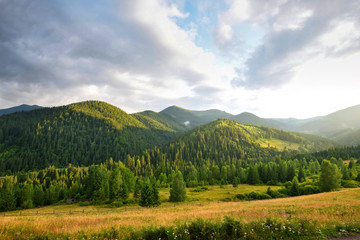 Fototapeta na wymiar Beautiful mountain landscape with wooded slopes. Summer evening in the Carpathians