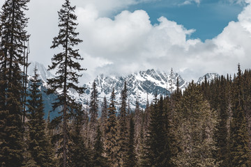 Glacier National Park