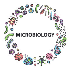 Microbiology logo. Bacterial microorganism color. Doodle style. Illustration of different germs, primitive organisms, micro-organisms, disease-causing objects, cell cancer, bacteria, viruses, fungi