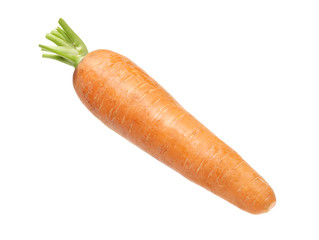 Fresh carrot on a white background