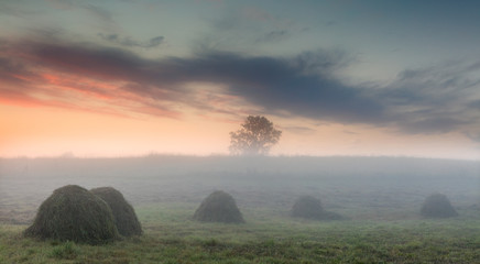 Piękny Letni Świt  Z Snopkami Siana © Wojciech Lisiński