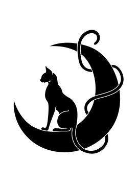 Graceful and elegant cat sitting on moon