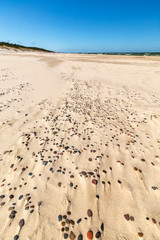 Baltic sea sandy beach