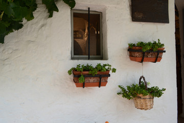 Fototapeta na wymiar Fenster im Trullidorf Alberobello – Italien 