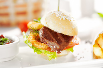 Gourmet, restaurant, delicious dinner food - close up of Sandwich with Beef and Deep Fried Onions Ring, Tomato and Cucumber. Garnished with French Fries