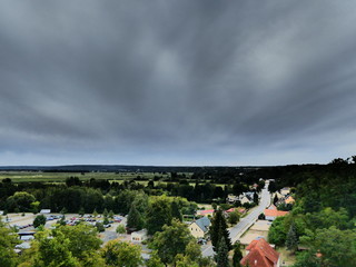 The nature in or around berlin in the summer 2019.