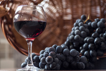 A glass of fragrant red wine and bunches of blue grapes