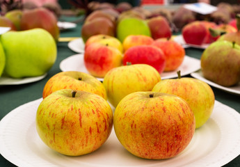 Naklejka na ściany i meble Apples on display at an Autumn Fair