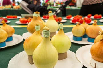 Onions on display at an Autumn Fair