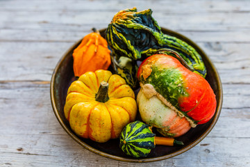 Autumn decorative pumpkins in the vintage bowl.