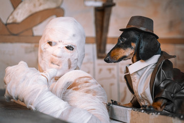 Dog with a man dressed as a mummy sits shrouded in bandages at a celebration of Halloween