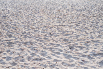 Sand Texture. Brown sand
