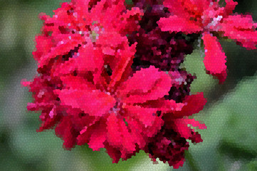 natural images in mosaics, Algeria