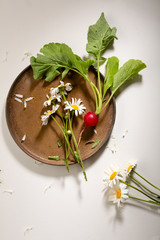 Chamomile flowers and radish top view