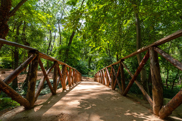 Un puente de madera en un entorno natural