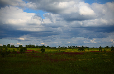 Fototapeta premium Summer rural landscape with a cloudy dramatic sky