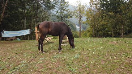 Naklejka premium DCIM\100MEDIA\DJI_0774.JPG