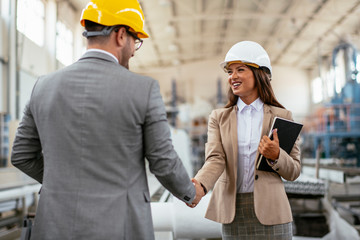 Businessman and businesswoman handshaking