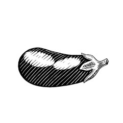 Ink Sketch of an Eggplant