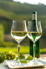 Famous German quality white wine riesling, produced in Mosel wine regio from white grapes growing on slopes of hills in Mosel river valley in Germany