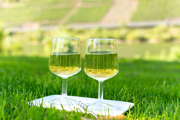 Famous German quality white wine riesling, produced in Mosel wine regio from white grapes growing on terraced vineyards in Mosel river valley in Germany