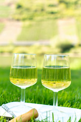 Famous German quality white wine riesling, produced in Mosel wine regio from white grapes growing on terraced vineyards in Mosel river valley in Germany