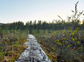 Old duckboards leading to lake