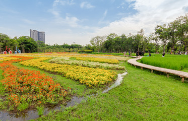 Fototapeta na wymiar Flowers growing in a garden surrounded by green trees