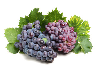 Grapes on white background 