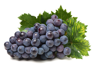 Grapes on white background 