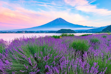 Fototapeta na wymiar 富士山とラベンダー、山梨県河口湖大石公園にて