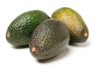 Avocado on a white background