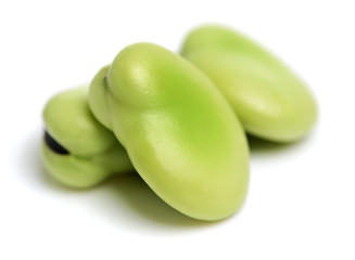 Broad bean green seeds, lat. Visia faba. Fava bean, field bean, bell isolated on white background
