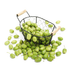 mini kiwi baby fruit (actinidia arguta) on white background