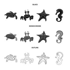 Isolated object of sea and animal symbol. Set of sea and marine stock symbol for web.