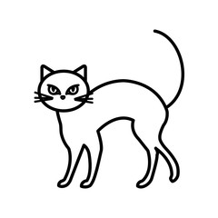 cat feline animal of halloween
