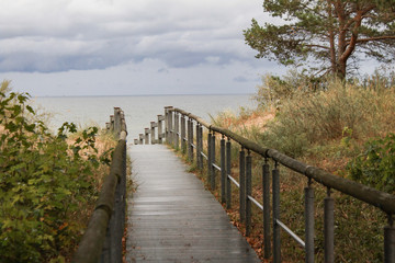 Dünenlandschaft an der Ostsee (Usedom)