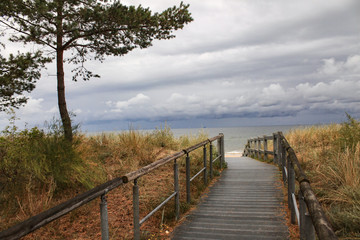 Fototapeta na wymiar Dünenlandschaft an der Ostsee (Usedom)