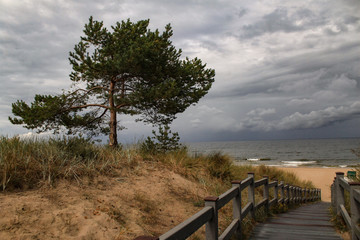 Fototapeta na wymiar Dünenlandschaft an der Ostsee